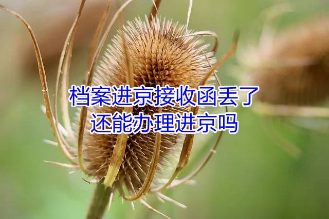 档案进京接收函丢了还能办理进京吗