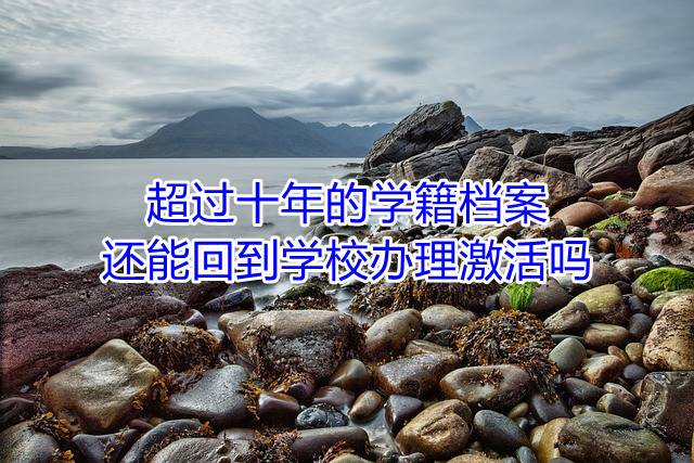 超过十年的学籍档案还能回到学校办理激活吗