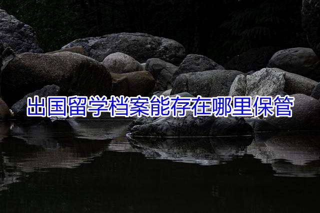 出国留学档案能存在哪里保管