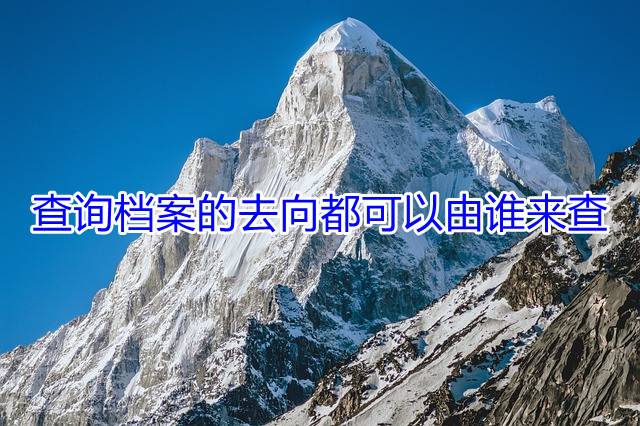 查询档案的去向都可以由谁来查