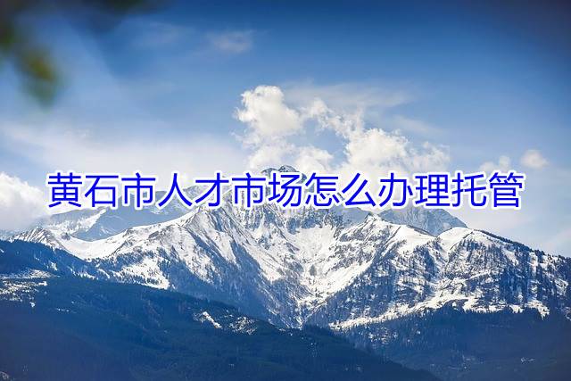 黄石市人才市场怎么办理托管