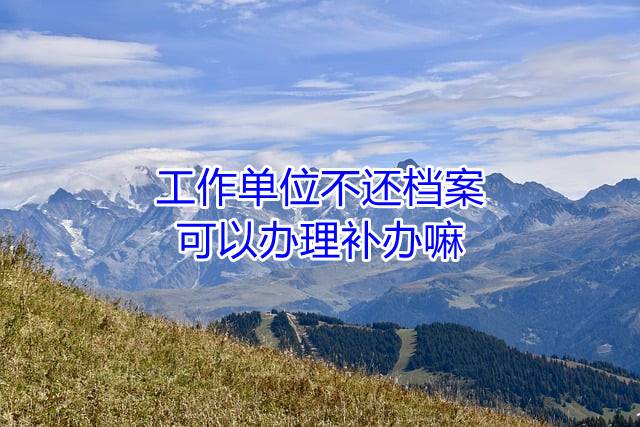 工作单位不还档案，可以办理补办嘛