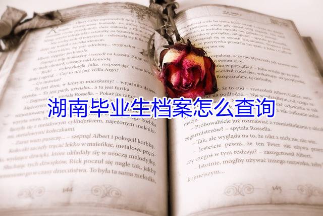湖南毕业生档案怎么查询