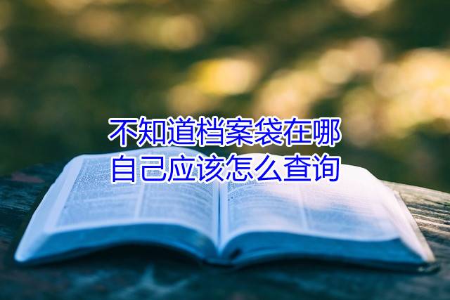 不知道档案袋在哪自己应该怎么查询