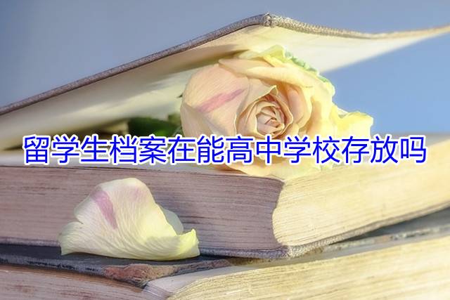 留学生档案在能高中学校存放吗