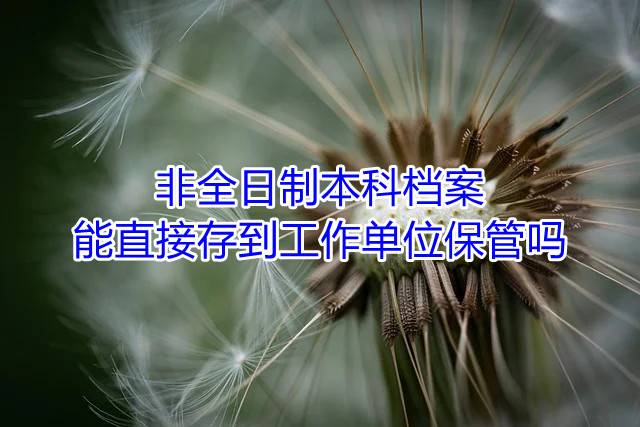 非全日制本科档案能直接存到工作单位保管吗