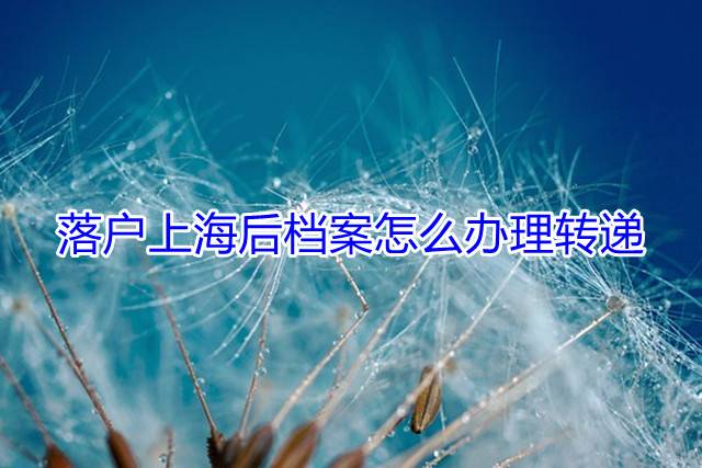 落户上海后档案怎么办理转递