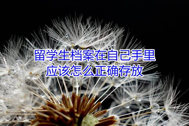 留学生档案在自己手里应该怎么正确存放