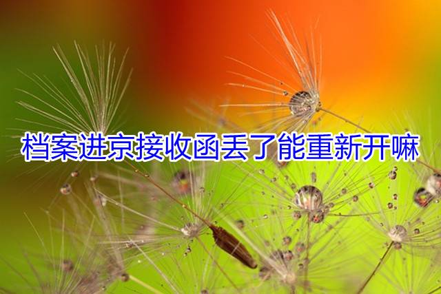 档案进京接收函丢了能重新开嘛