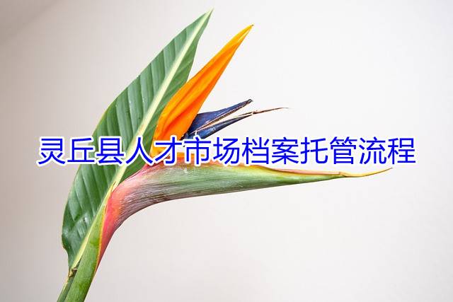灵丘县人才市场档案托管流程