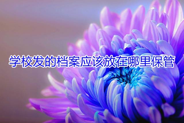 学校发的档案应该放在哪里保管