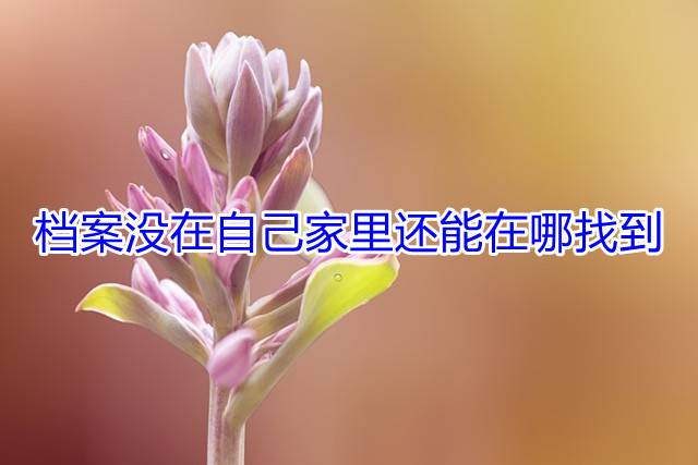 档案没在自己家里还能在哪找到