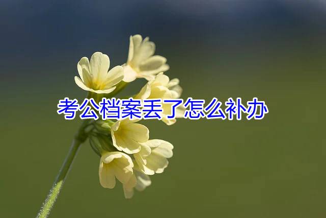 考公档案丢了怎么补办