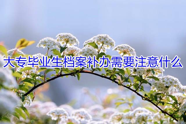 大专毕业生档案补办需要注意什么