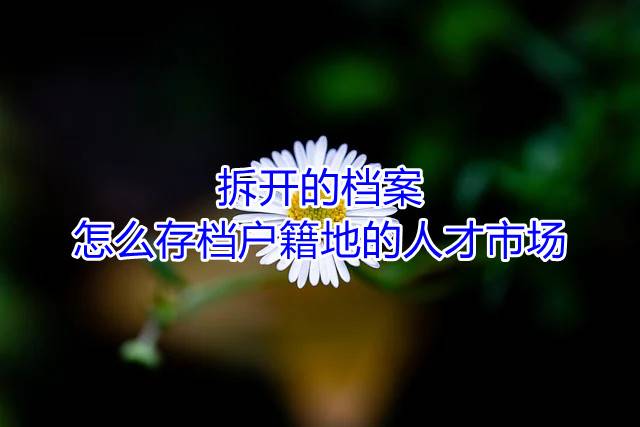 拆开的档案怎么存档户籍地的人才市场