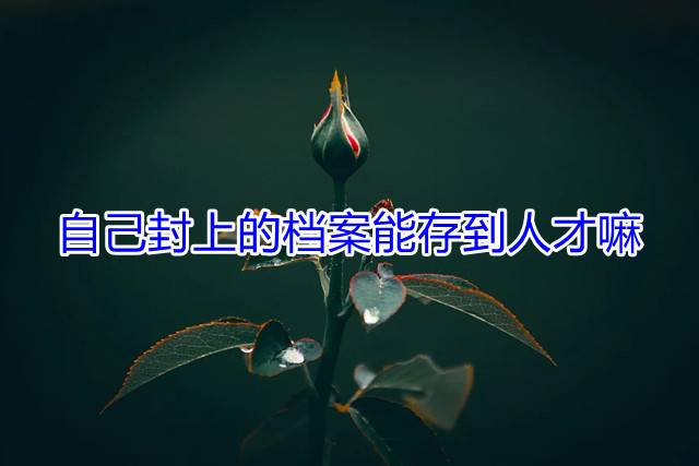 自己封上的档案能存到人才嘛
