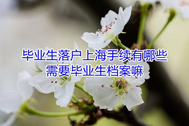 毕业生落户上海手续有哪些，需要毕业生档案嘛