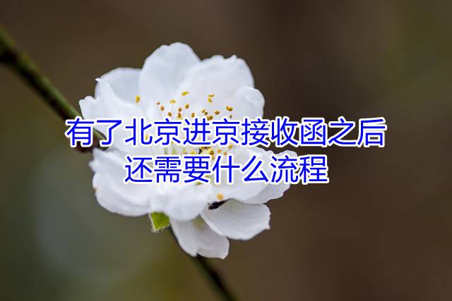 有了北京进京接收函之后还需要什么流程