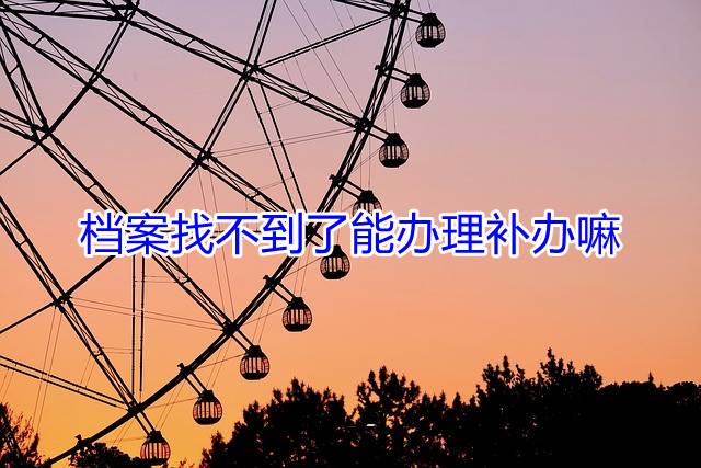档案找不到了能办理补办嘛