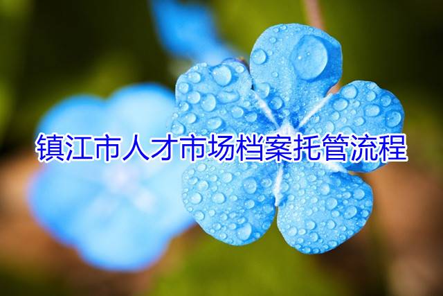 镇江市人才市场档案托管流程