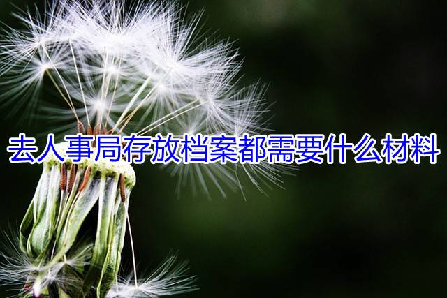 去人事局存放档案都需要什么材料
