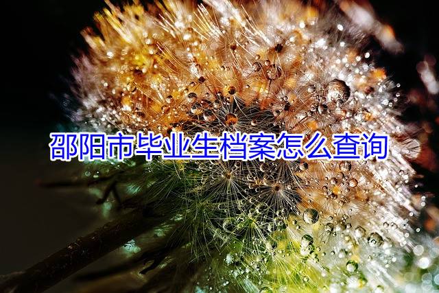 邵阳市毕业生档案怎么查询