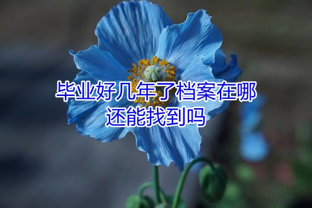 毕业好几年了档案在哪，还能找到吗
