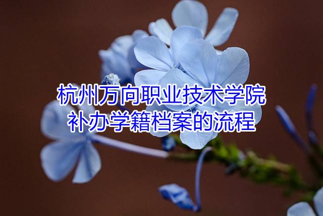 杭州万向职业技术学院补办学籍档案的流程