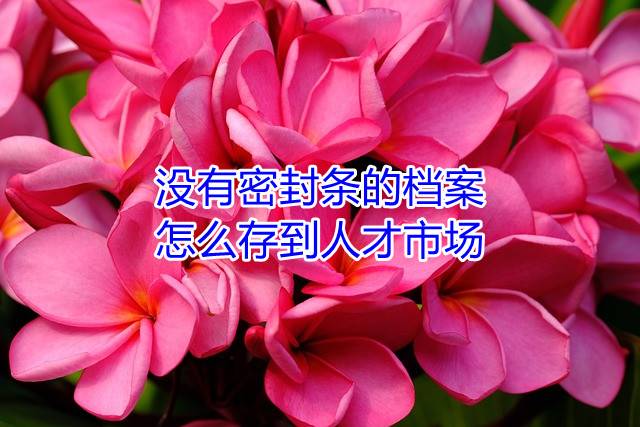 没有密封条的档案怎么存到人才市场