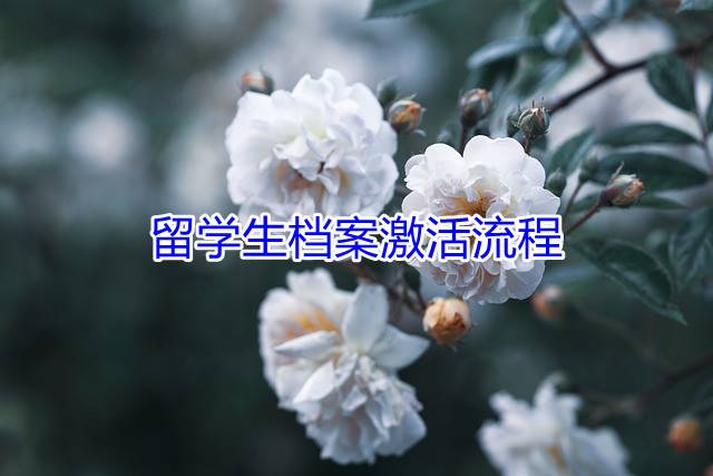 留学生档案激活流程