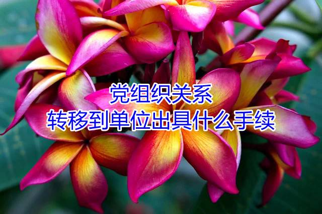 党组织关系转移到单位出具什么手续