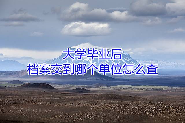 大学毕业后档案交到哪个单位怎么查