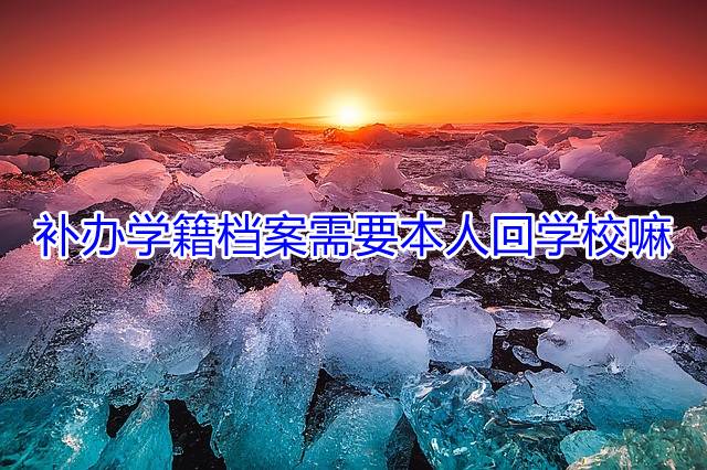 补办学籍档案需要本人回学校嘛