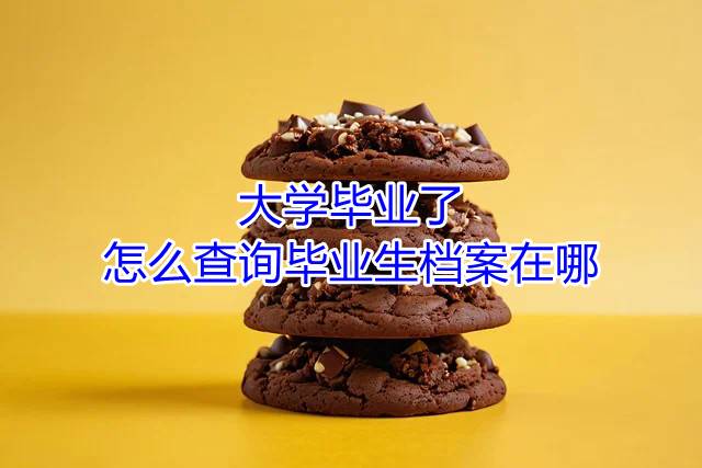 大学毕业了怎么查询毕业生档案在哪