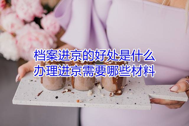 档案进京的好处是什么，办理进京需要哪些材料