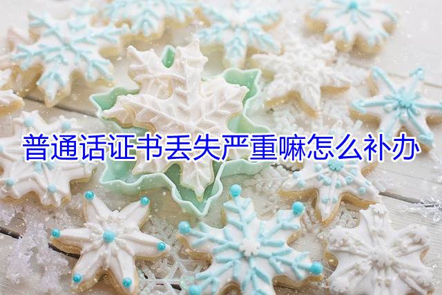 普通话证书丢失严重嘛怎么补办