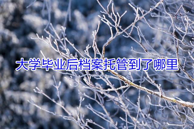 大学毕业后档案托管到了哪里