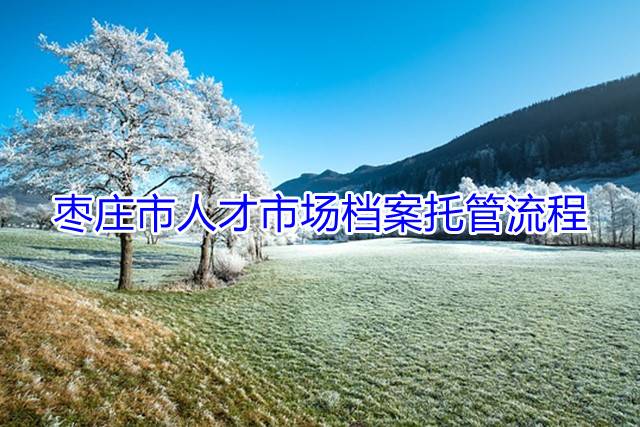 枣庄市人才市场档案托管流程