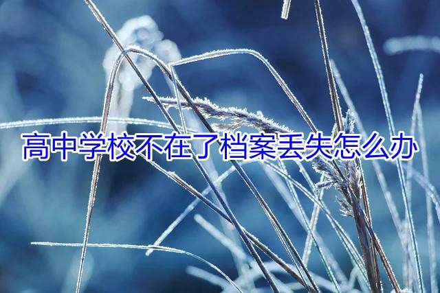 高中学校不在了档案丢失怎么办