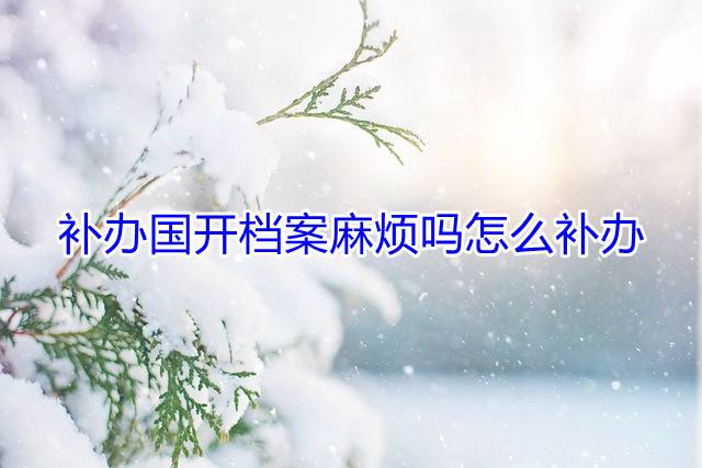 补办国开档案麻烦吗怎么补办