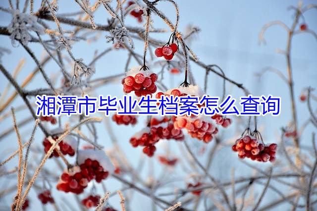 湘潭市毕业生档案怎么查询