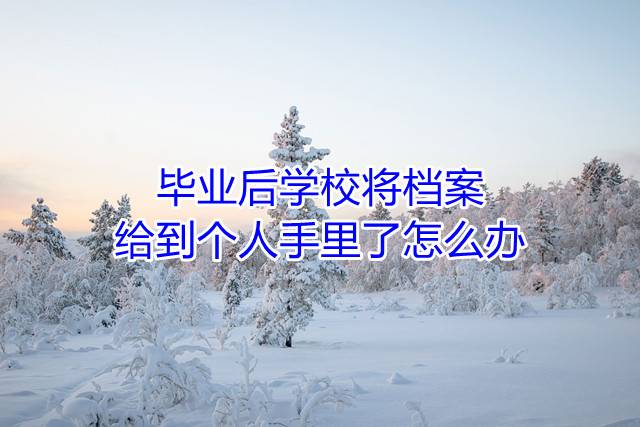 毕业后学校将档案给到个人手里了怎么办