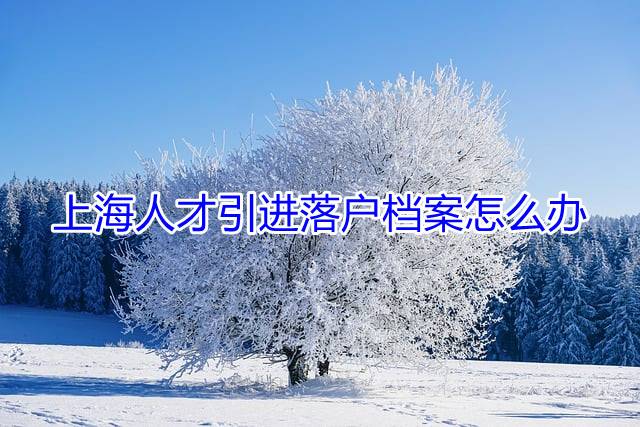 上海人才引进落户档案怎么办