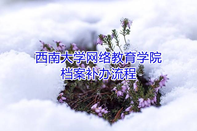 西南大学网络教育学院档案补办流程