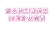 怎么找到党关系，如何补交党费