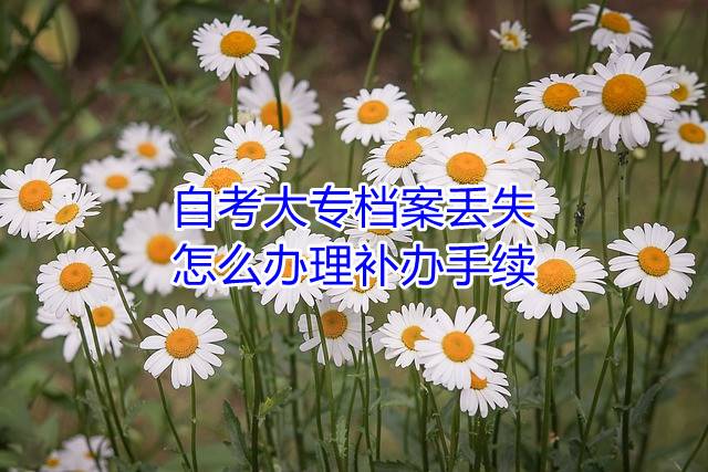 自考大专档案丢失怎么办理补办手续