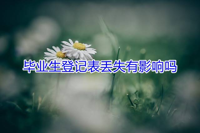 毕业生登记表丢失有影响吗