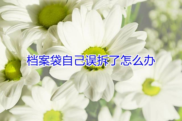 档案袋自己误拆了怎么办