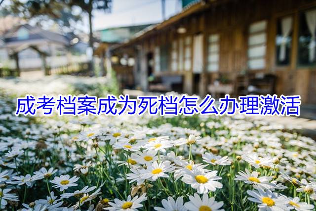 成考档案成为死档怎么办理激活