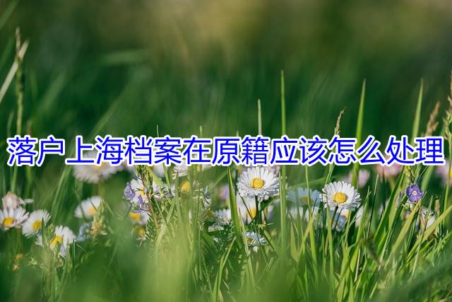 落户上海档案在原籍应该怎么处理